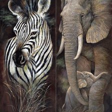 Схема вышивки «Collage-ЗЕБРА, СЛОНЫ»