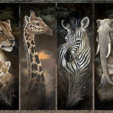 Схема вышивки «Collage-ДИКИЕ ЖИВОТНЫЕ»