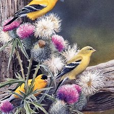 Схема вышивки «птицы»