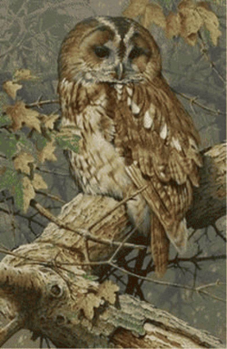 птицы - дерево, птица, сова - предпросмотр