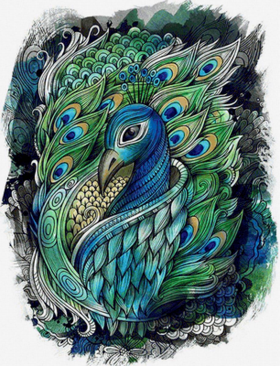 Павлин. - птица., павлин - предпросмотр