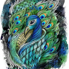 Схема вышивки «Павлин.»