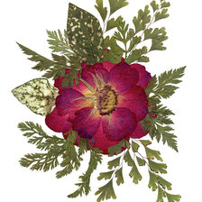 Схема вышивки «№2213201»