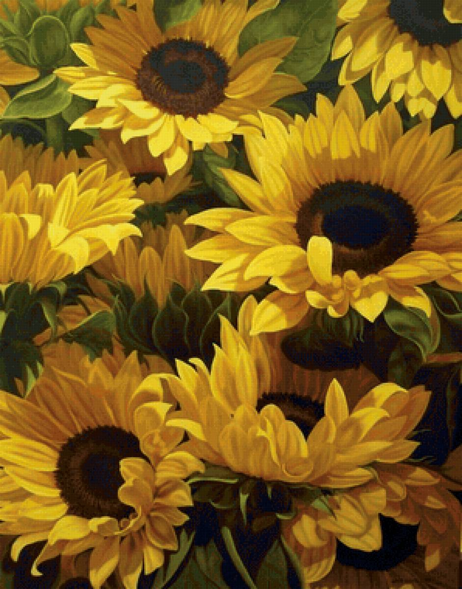 Boque de  girassóis. - flores. - предпросмотр