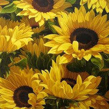 Boque de  girassóis.