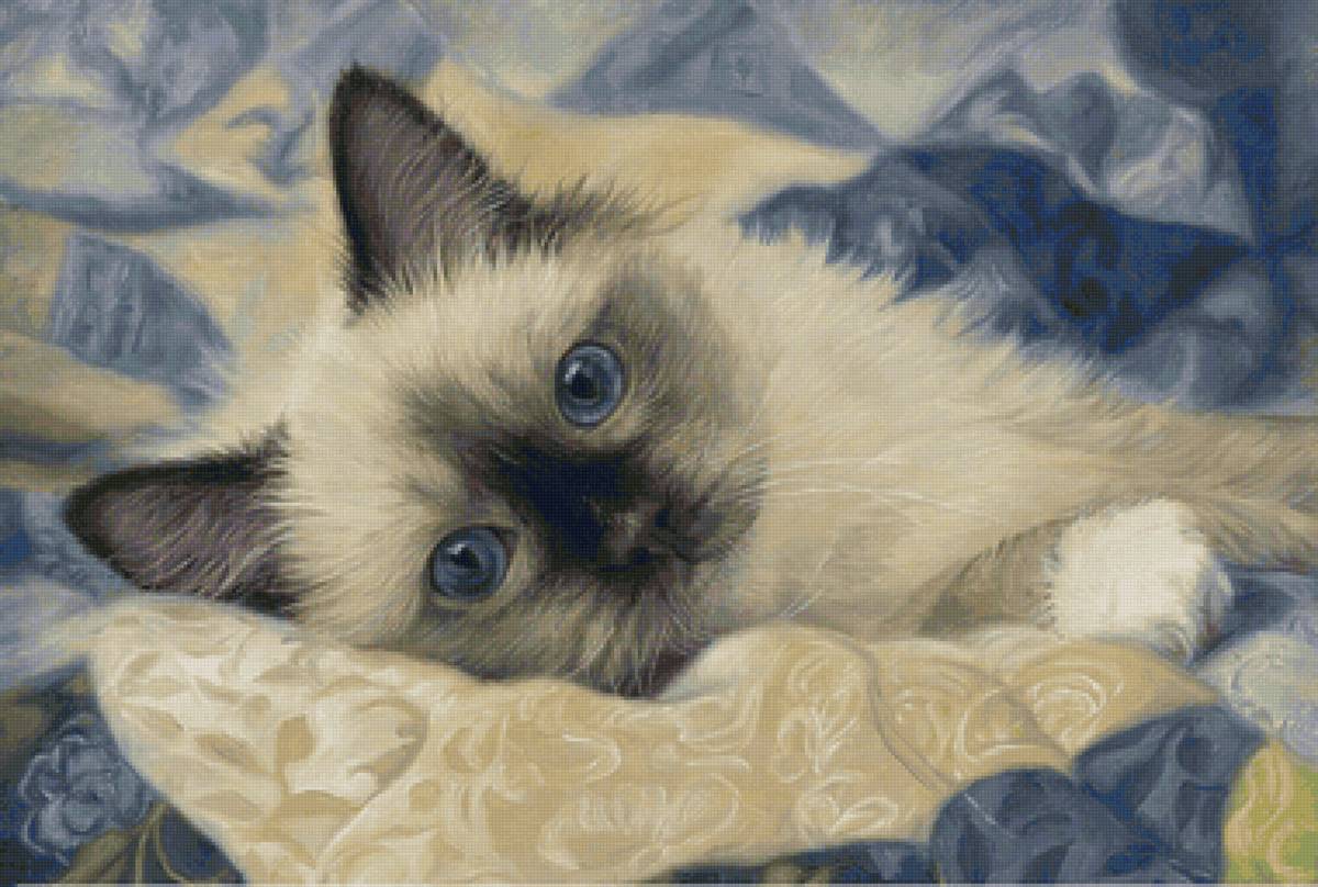 Gato. - animais. - предпросмотр