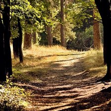 Схема вышивки «лесная дорога»