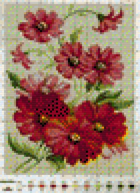 Hoa - hoa - предпросмотр