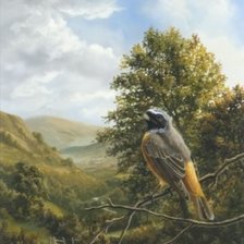 Схема вышивки «Птицы»