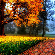 Схема вышивки «Природа»