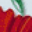 Предпросмотр схемы вышивки «маки» (№2213681)