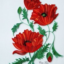 Схема вышивки «маки»