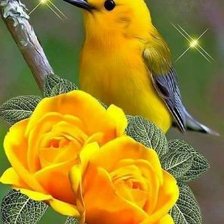 Схема вышивки «№2213711»