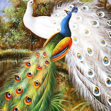 Схема вышивки «Серия "Птицы". Павлины»