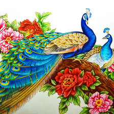 Схема вышивки «Серия "Птицы". Павлины»