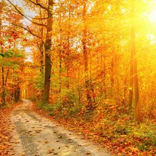 Схема вышивки «Осень»