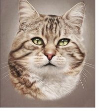 Схема вышивки «№2213984»