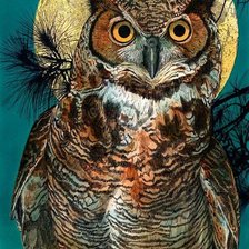 Схема вышивки «Coruja.»