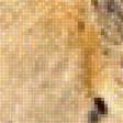 Предпросмотр схемы вышивки «Леопард» (№2214450)