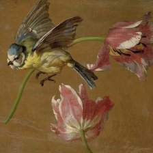 Схема вышивки «Натюрморт с птицей»