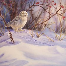 Схема вышивки «Сова»