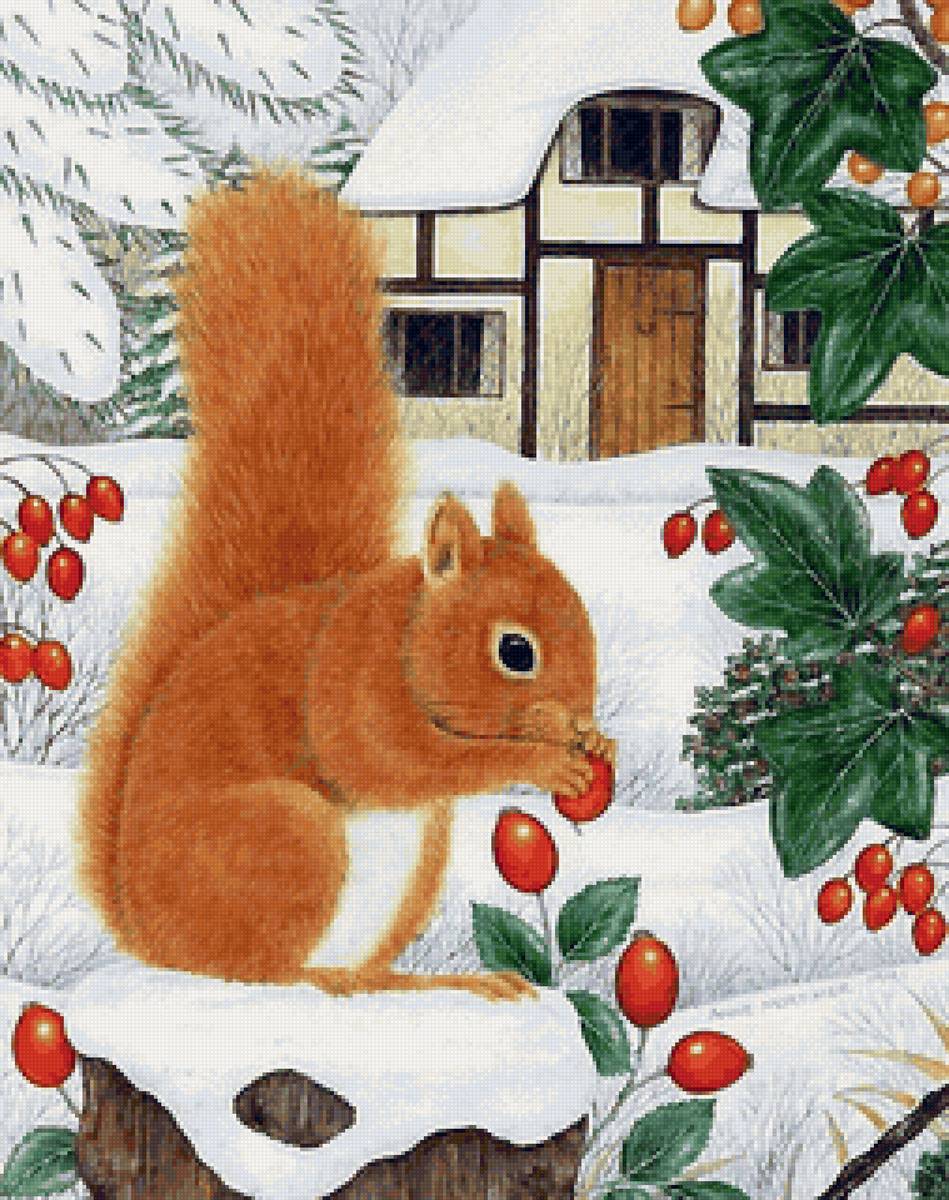 белочка - белка, ягоды, зима - предпросмотр