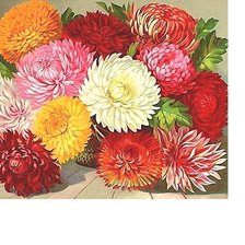 Схема вышивки «№2215240»