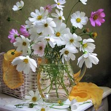 Схема вышивки «Космея»