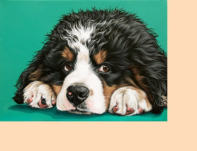 №2215671 - собаки, животные - оригинал