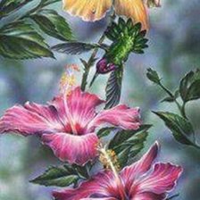 Схема вышивки «Ramo de hibiscos.»