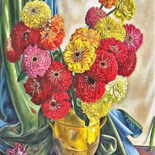 Схема вышивки «Цинии»