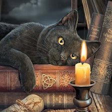 Схема вышивки «Колдовской час»