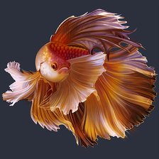 Схема вышивки «Peixe de aquário.»