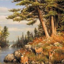 Схема вышивки «№2216525»