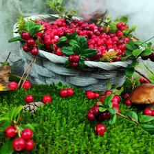 Схема вышивки «Лукошко клюквы»