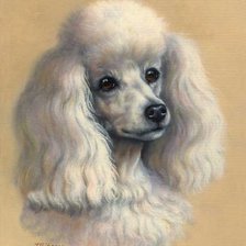 Схема вышивки «Пудель»