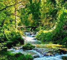 Схема вышивки «У речки в парке»