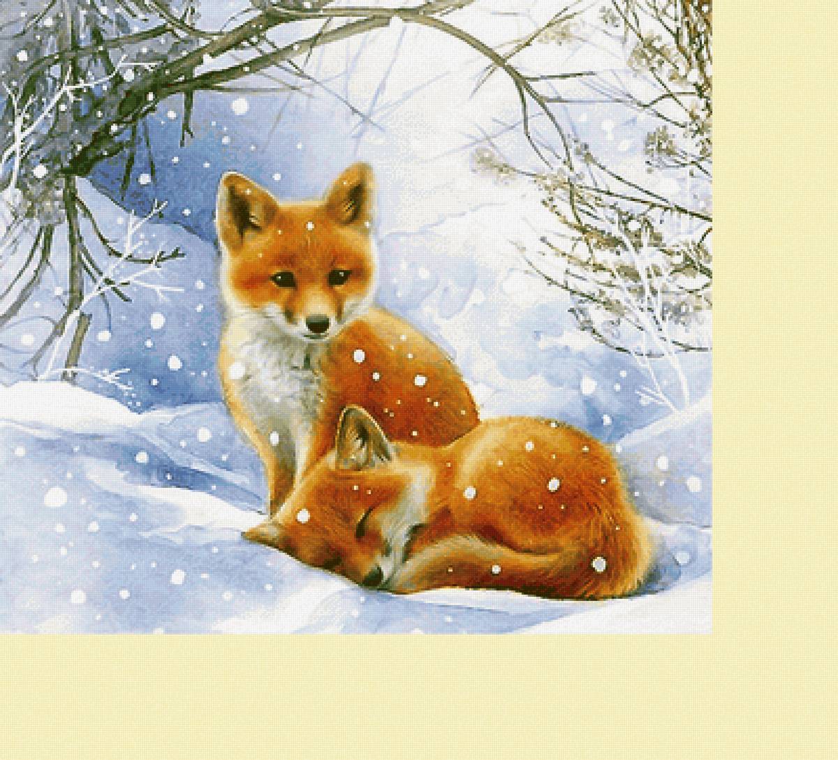 Серия "Лисы" - животные, лисята - предпросмотр