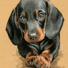 Схема вышивки «Щенок»