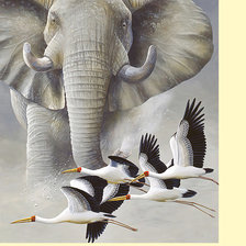 Схема вышивки «Слон»