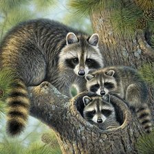 Схема вышивки «ЕНОТИКИ»