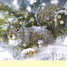 Схема вышивки «Серия "Белки"»