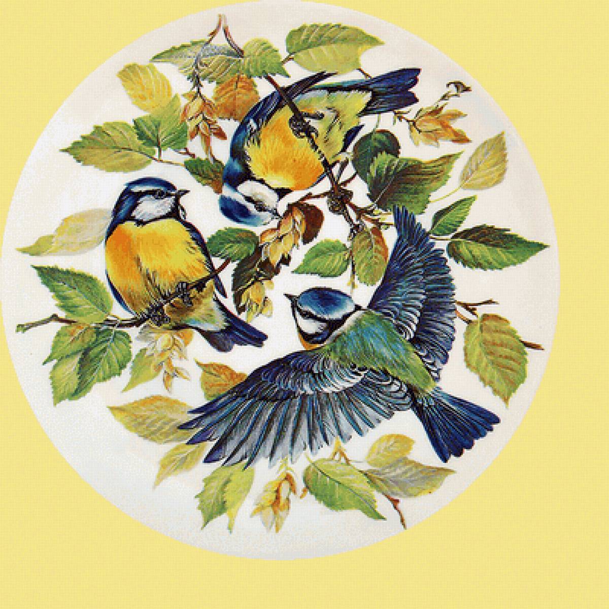 Серия "Птицы". Синички - синички, фауна, птицы - предпросмотр