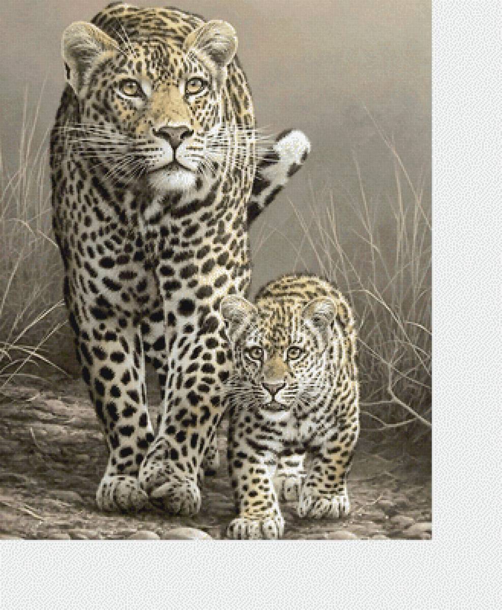 №2216968 - животные, хищники - предпросмотр