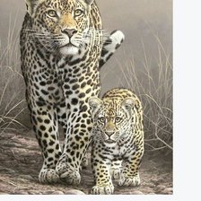 Схема вышивки «№2216968»