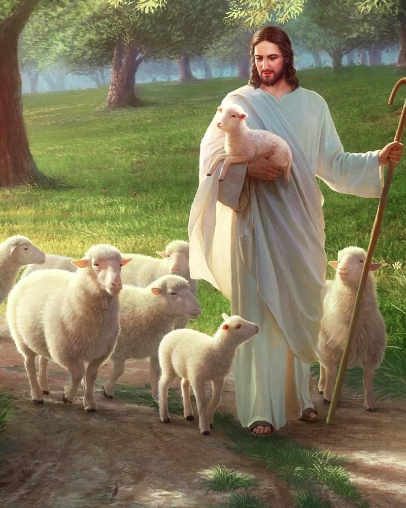 Pastor  de ovelhas. - animais .pastor .religião - оригинал