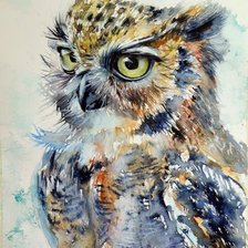 Схема вышивки «Coruja.»