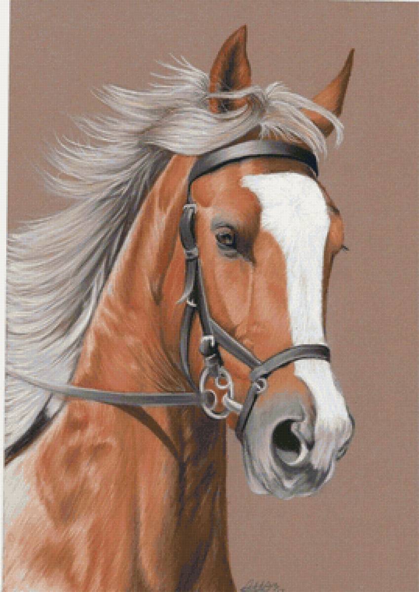 Cavalo. - animais. - предпросмотр