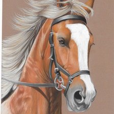 Схема вышивки «Cavalo.»