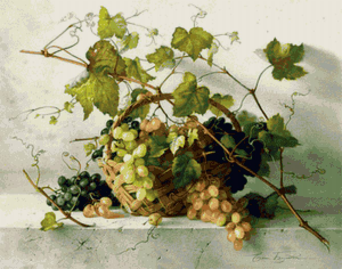 Виноград - предпросмотр